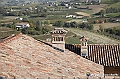 VBS_6066 - Castagnole delle Lanze